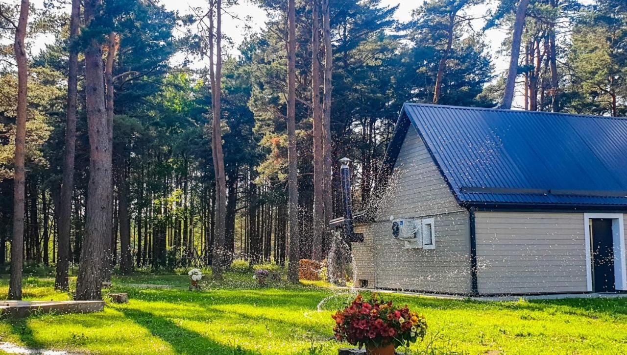 Guest House Saulgriezes Nīca 外观 照片