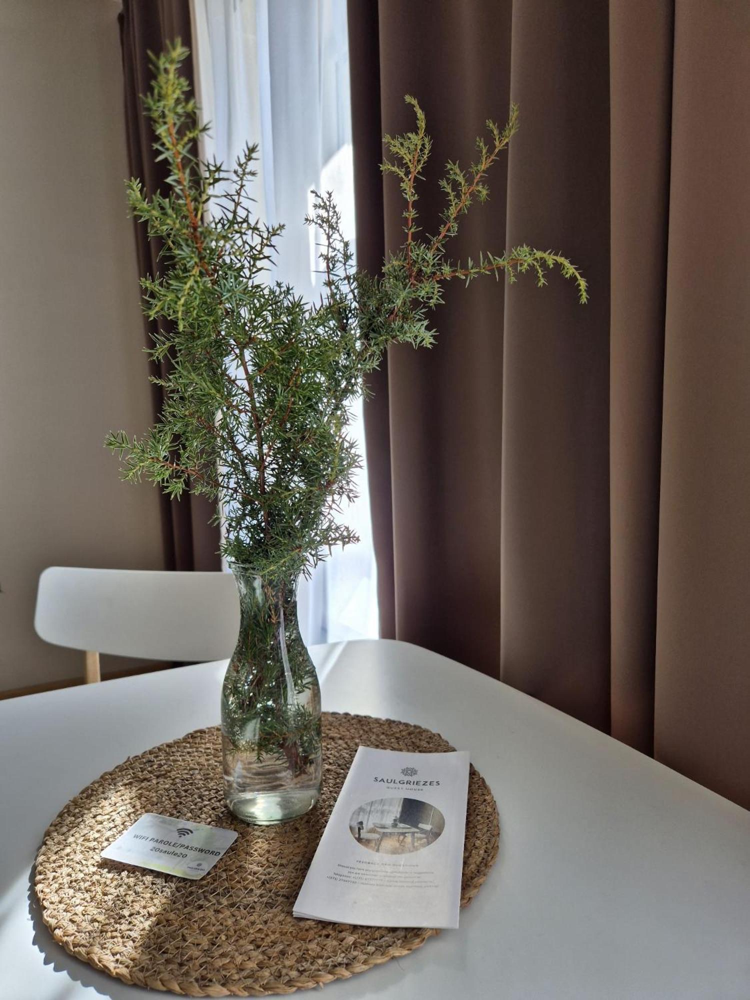 Guest House Saulgriezes Nīca 外观 照片
